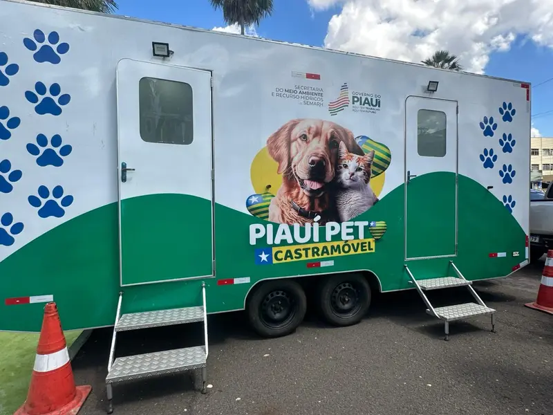 Governo do Piauí lança Pacto pelos Animais com meta de 20 mil castrações