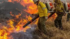 Governo repassa R$ 337 milhões para combate a incêndios e desmatamento (Foto: Mayandi Inzaulgarat/ICMBio)