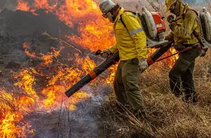 Governo repassa R$ 337 milhões para combate a incêndios e desmatamento (Foto: Mayandi Inzaulgarat/ICMBio)
