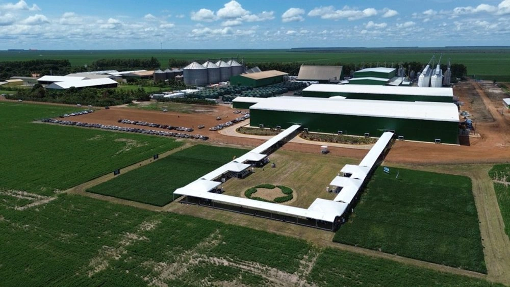 Grupo Progresso se consolida como referência nacional do agronegócio no Piauí