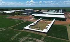 Grupo Progresso se consolida como referência nacional do agronegócio no Piauí