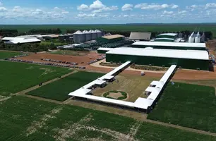 Grupo Progresso se consolida como referência nacional do agronegócio no Piauí (Foto: Grupo Progresso)