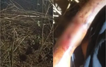 Homem é executado a tiros em Fronteiras