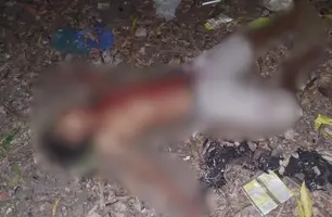Homem é executado a tiros na zona Norte de Teresina; DHPP investiga o caso (Foto: Reprodução)