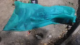 Homem é morto a facadas durante a madrugada na zona Norte de Teresina (Foto: Reprodução)