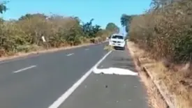 Homem morre atropelado na BR-230 após motorista atingir cachorro na pista (Foto: Reprodução)