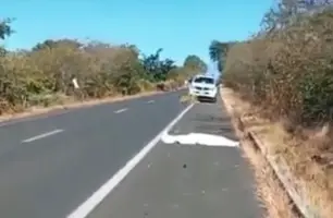 Homem morre atropelado na BR-230 após motorista atingir cachorro na pista (Foto: Reprodução)