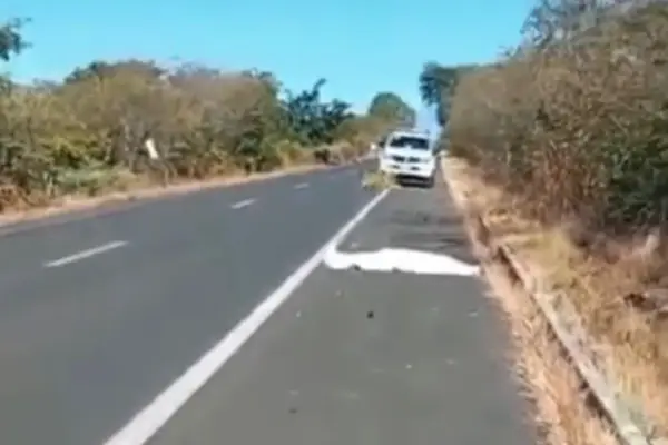 Homem morre atropelado na BR-230 após motorista atingir cachorro na pista