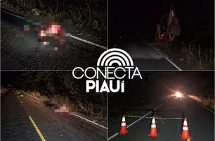 Homem morre com corpo mutilado após atropelamento em rodovia no Piauí (Foto: Reprodução)