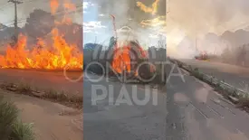 Incêndio às margens da BR-316 provoca congestionamento e assusta motoristas em THE (Foto: Conecta Piauí)
