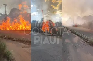Incêndio às margens da BR-316 provoca congestionamento e assusta motoristas em THE (Foto: Conecta Piauí)