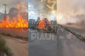 Incêndio às margens da BR-316 provoca congestionamento e assusta motoristas em THE