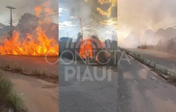 Incêndio às margens da BR-316 provoca congestionamento e assusta motoristas em THE