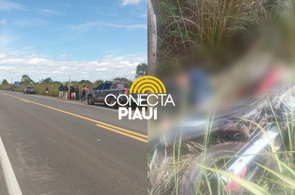 Jovem de 23 anos é encontrado morto às margens da BR-343, em Campo Maior