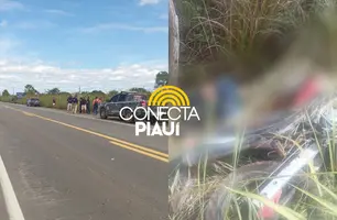 Jovem de 23 anos é encontrado morto às margens da BR-343, em Campo Maior (Foto: Homem da Notícia/Conecta Piauí)