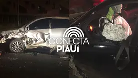 Motorista na contramão provoca colisão na BR-316 e foge a pé após acidente (Foto: Reprodução)