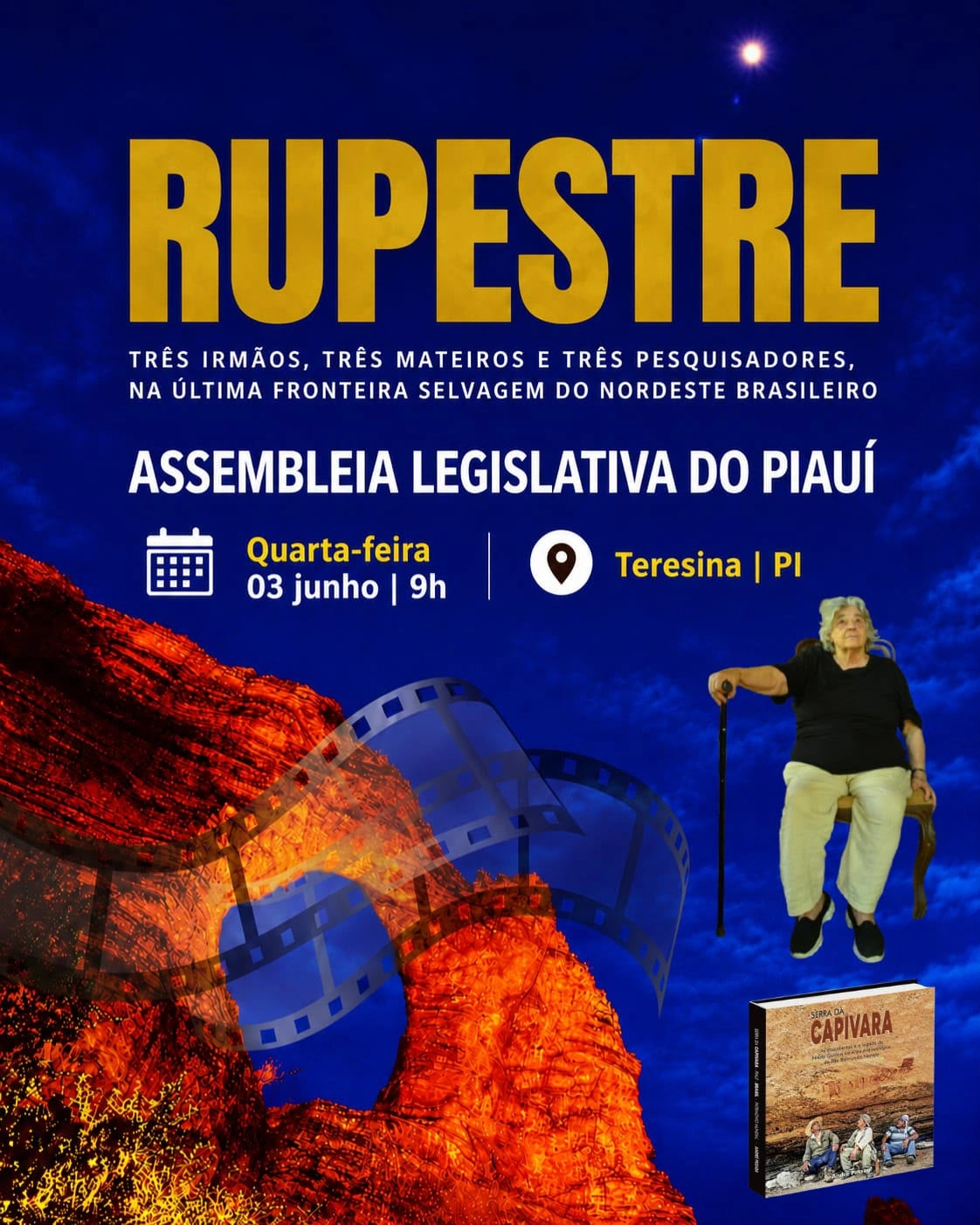 Niéde Guidon ganha exposição e homenagens na Assembleia Legislativa do Piauí
