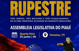 Niéde Guidon ganha exposição e homenagens na Assembleia Legislativa do Piauí (Foto: Reprodução)