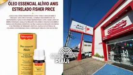 Óleo essencial de anis estrelado auxilia no bem-estar respiratório e digestivo (Foto: Reprodução)