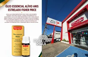 Óleo essencial de anis estrelado auxilia no bem-estar respiratório e digestivo (Foto: Reprodução)