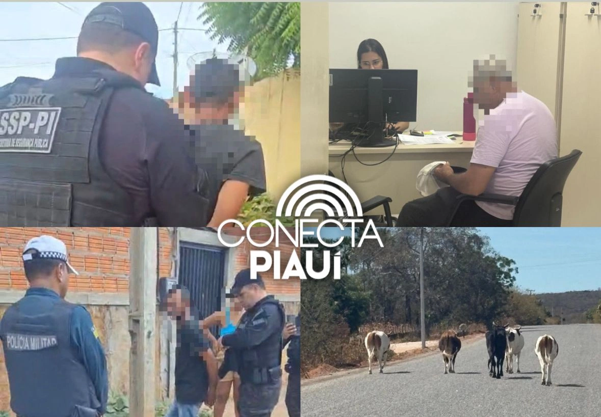 Operações prendem suspeitos e reforçam combate a animais soltos no Piauí