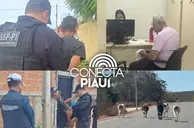 Operações prendem suspeitos e reforçam combate a animais soltos no Piauí