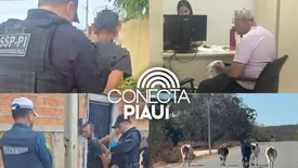 Operações prendem suspeitos e reforçam combate a animais soltos no Piauí (Foto: Reprodução)