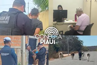 Operações prendem suspeitos e reforçam combate a animais soltos no Piauí