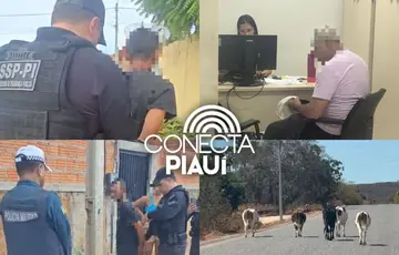 Operações prendem suspeitos e reforçam combate a animais soltos no Piauí