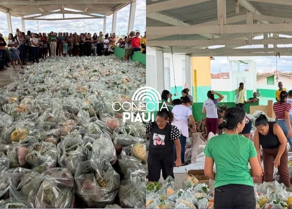 Paulistana entrega mais de 300 cestas básicas e fortalece agricultura familiar