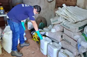 Piauí endurece regras e passa a monitorar venda de agrotóxicos em tempo real (Foto: Reprodução)