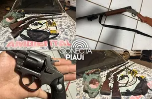 Polícia apreende armas e animais silvestres em caça ilegal em Uruçuí (Foto: Reprodução)