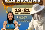 Prefeitura de Beneditinos promove curso sobre produção de mel de abelhas