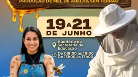 Prefeitura de Beneditinos promove curso sobre produção de mel de abelhas (Foto: Reprodução)
