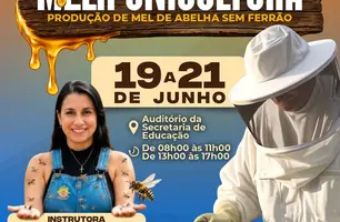 Prefeitura de Beneditinos promove curso sobre produção de mel de abelhas (Foto: Reprodução)