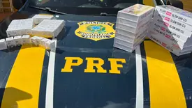 PRF apreende 256 ampolas de canetas emagrecedoras ilegais na BR-316 em Picos (Foto: Reprodução)