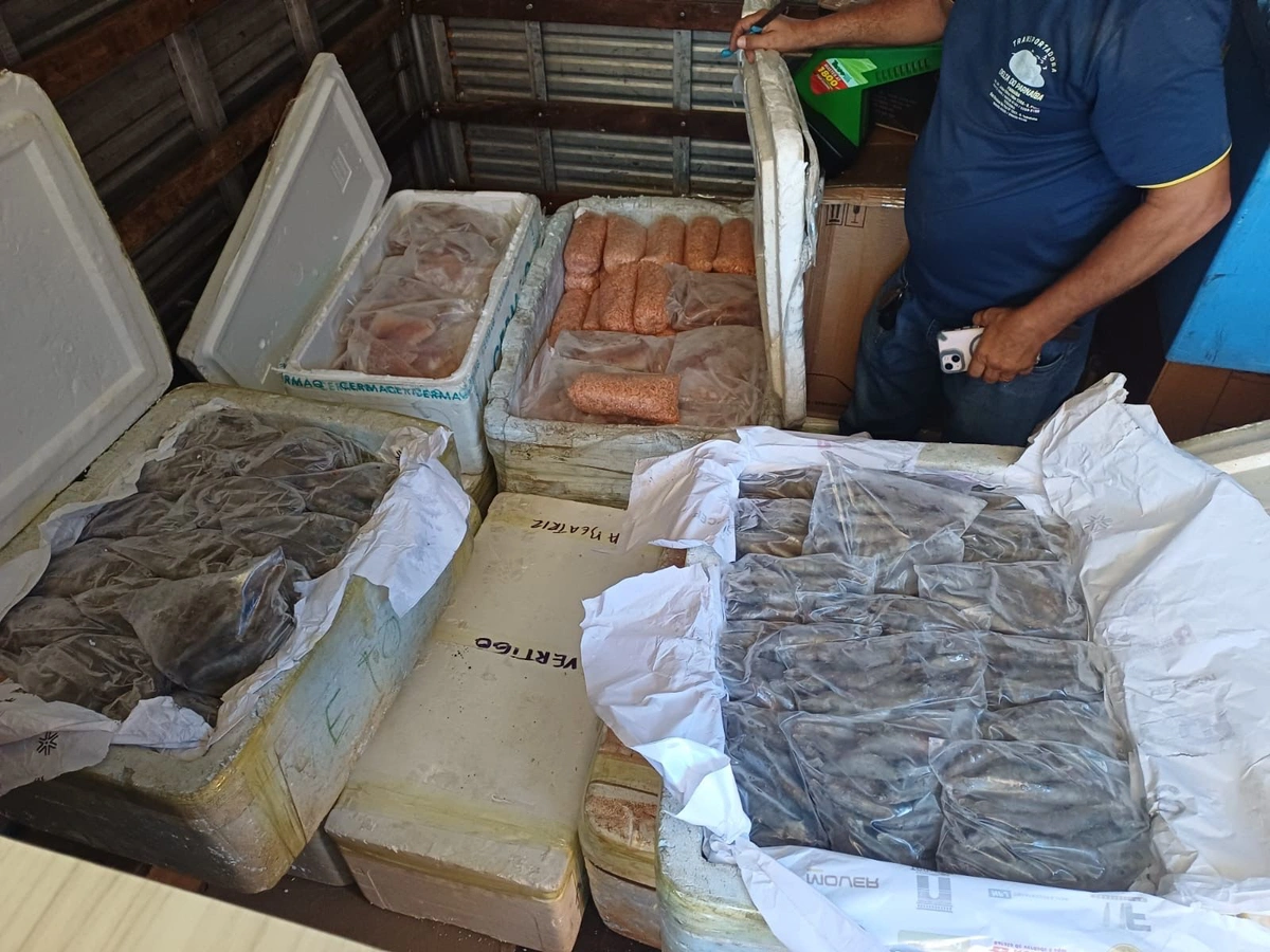 PRF intercepta 650 kg de alimentos sem procedência na BR-343, em Parnaíba