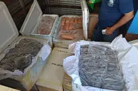 PRF intercepta 650 kg de alimentos sem procedência na BR-343, em Parnaíba