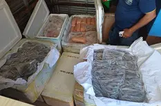 PRF intercepta 650 kg de alimentos sem procedência na BR-343, em Parnaíba