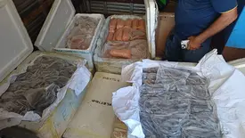 PRF intercepta 650 kg de alimentos sem procedência na BR-343, em Parnaíba (Foto: Divulgação/PRF)
