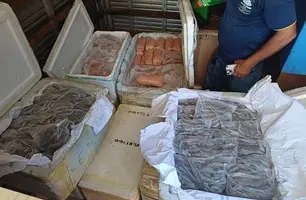 PRF intercepta 650 kg de alimentos sem procedência na BR-343, em Parnaíba (Foto: Divulgação/PRF)