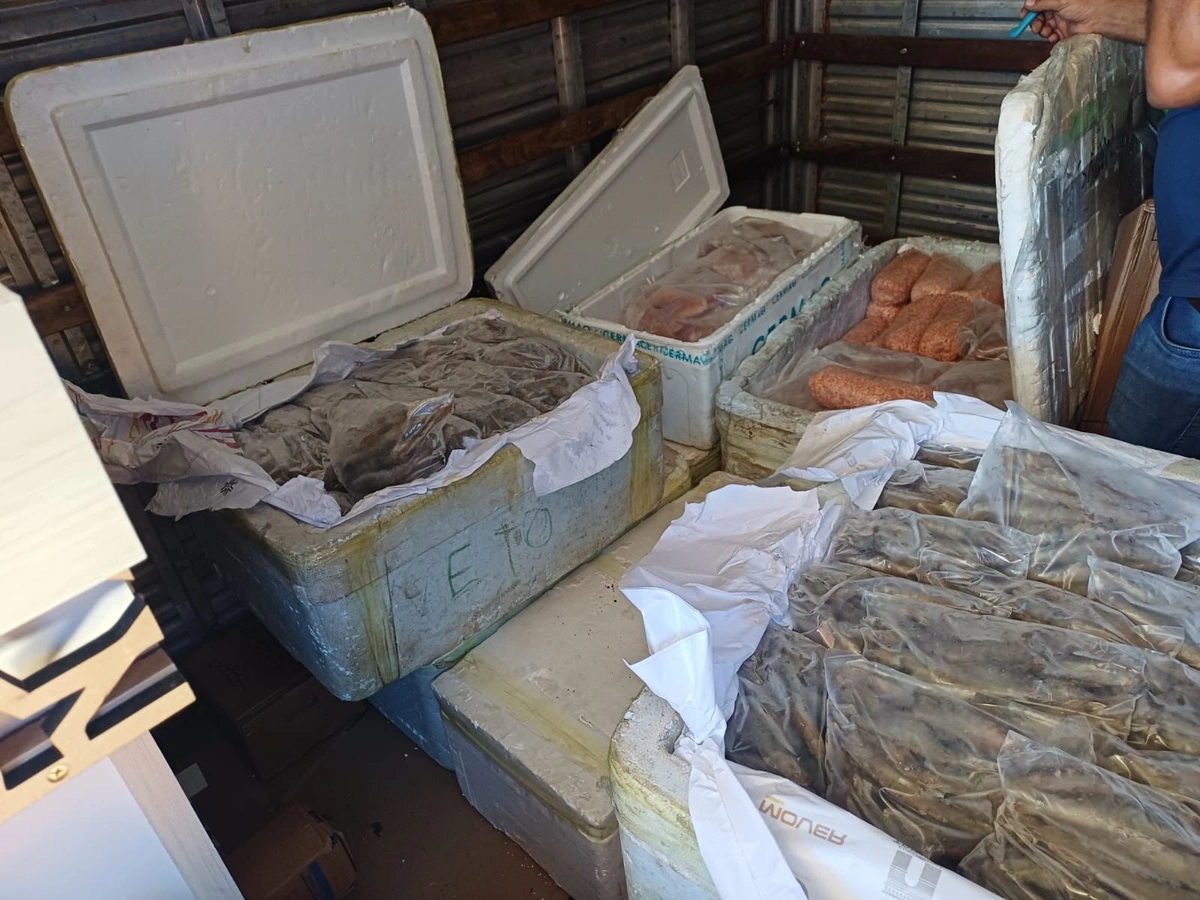 PRF intercepta 650 kg de alimentos sem procedência na BR-343, em Parnaíba