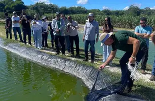Produção de camarão abre novas oportunidades para produtores piauienses (Foto: Reprodução)