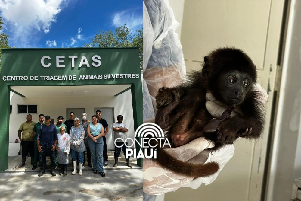 Reforma do CETAS fortalece proteção da fauna silvestre no Piauí