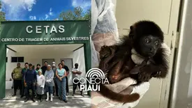 Reforma do CETAS fortalece proteção da fauna silvestre no Piauí (Foto: Reprodução)