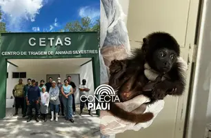 Reforma do CETAS fortalece proteção da fauna silvestre no Piauí (Foto: Reprodução)