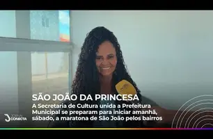 SÃO JOÃO DA PRINCESA: Conheça a programação da maratona de São João nos bairros de Floriano (Foto: YouTube)