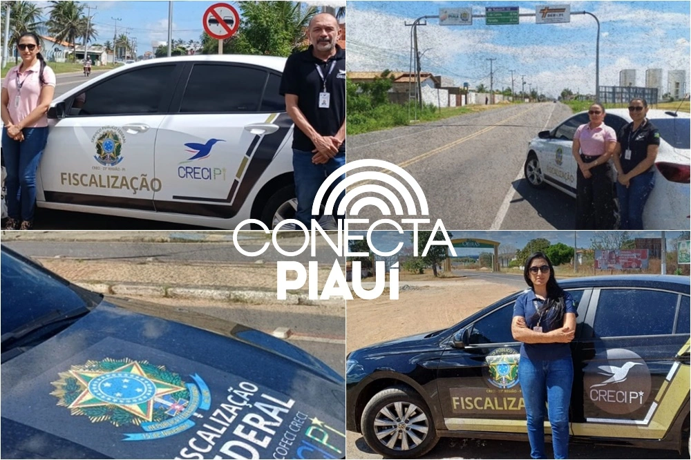 Seis falsos corretores de imóveis são autuados por exercício ilegal no Piauí