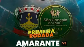 Seleção de vôlei de Amarante estreia na Liga dos Campeões neste sábado (Foto: Reprodução)