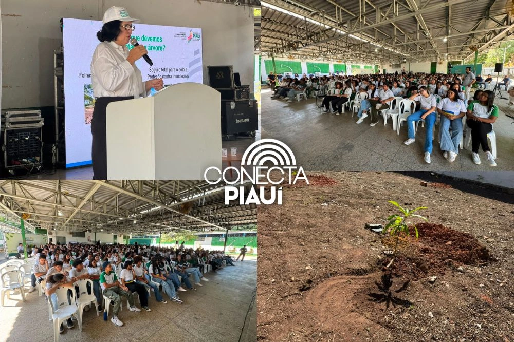 Semana do Meio Ambiente registra participação histórica de municípios piauienses